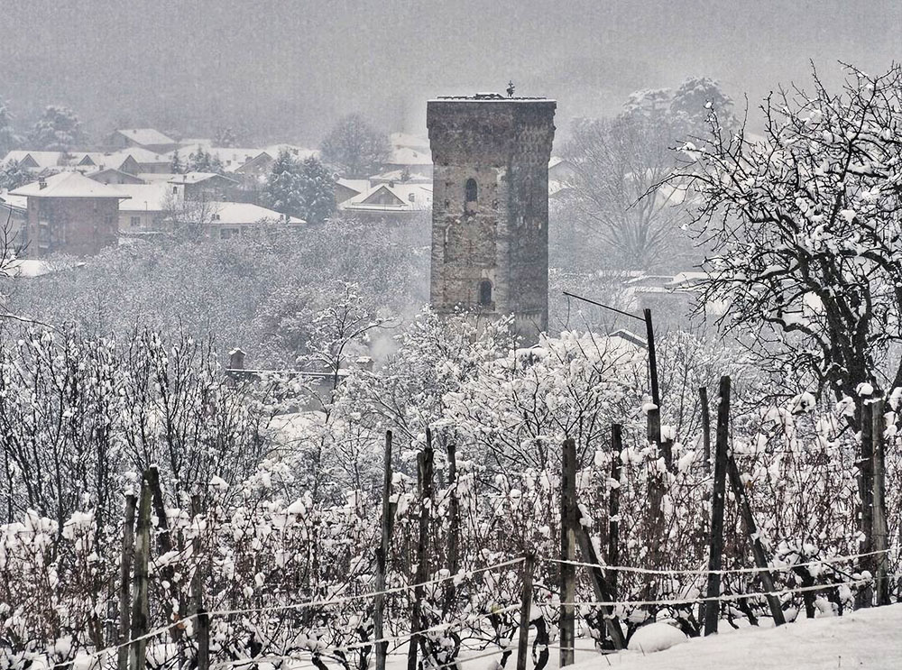 Vigne di Baratuciat ad Almese sotto la neve (foto di Paolo Manernti)